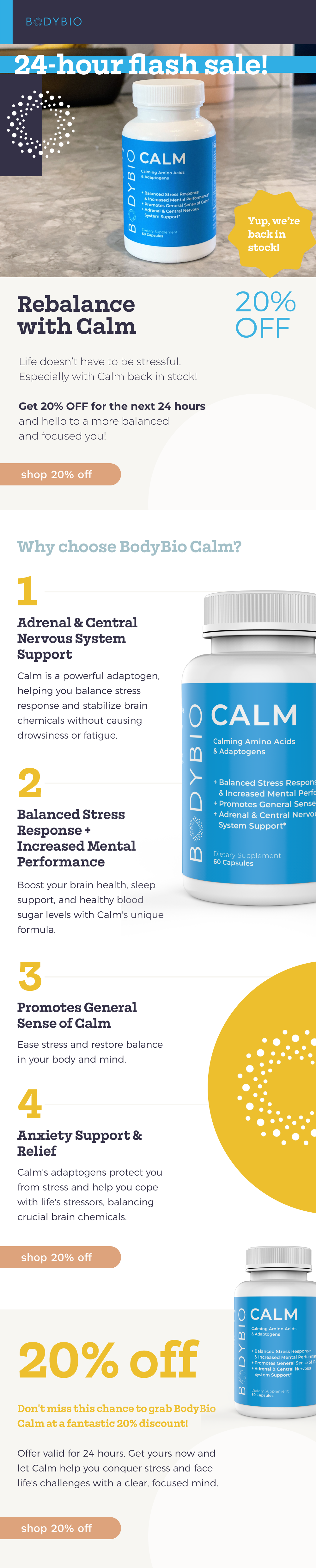 Wellness Email